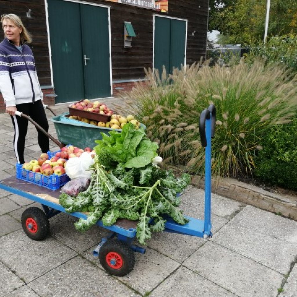 Voedselbank bedankt voor giften